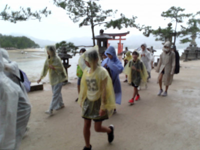 IMG_20260624_091818
