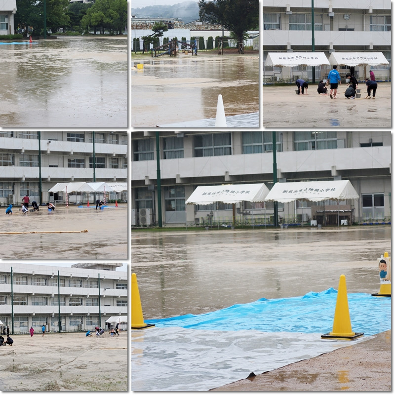 雨