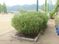 理科室②